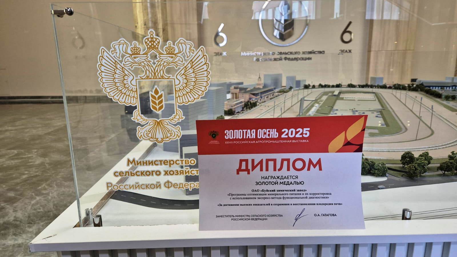 WhatsApp Image 2025-11-13 at 14.33.39.jpeg