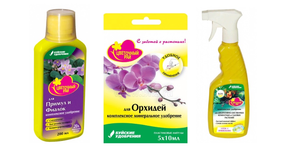 Цв рай.jpg Цв рай.jpg